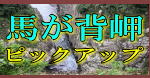 �{�茧�n���w���s�b�N�A�b�v