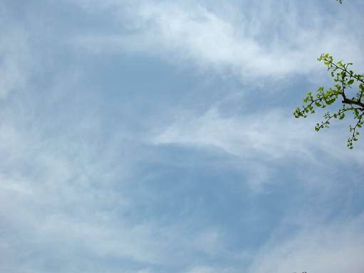 空３